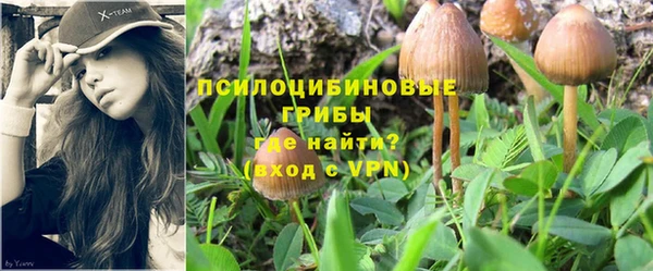2c-b Аркадак