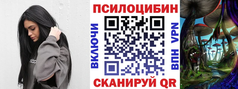 Псилоцибиновые грибы GOLDEN TEACHER  купить  цена  Балабаново 