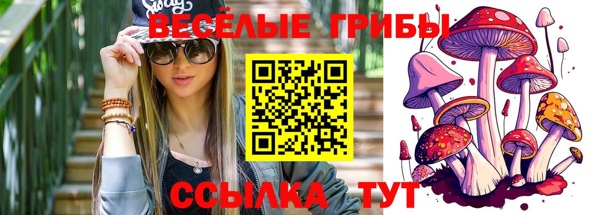 Псилоцибиновые грибы Cubensis Балабаново