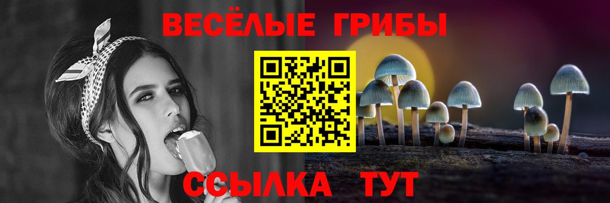 где найти   Псилоцибиновые грибы Psilocybine cubensis  Вход с VPN  Балабаново 