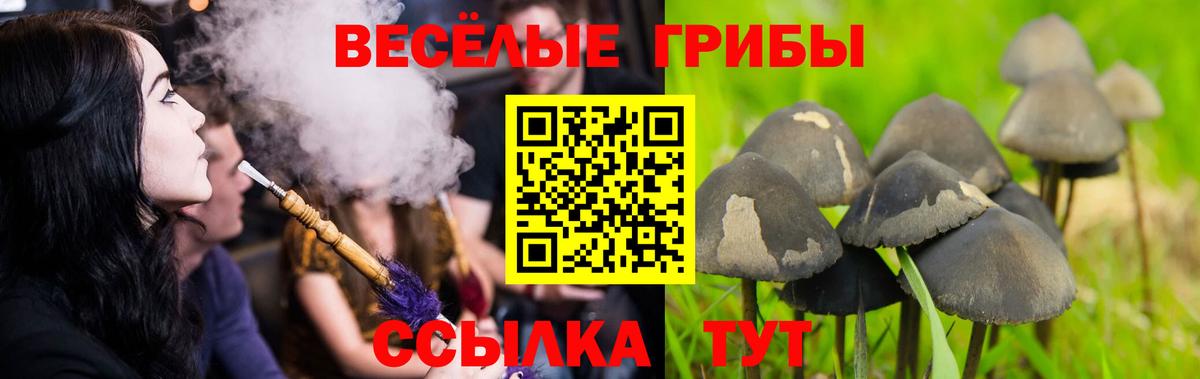 Балабаново  Псилоцибиновые грибы ЛСД  Вход с VPN 